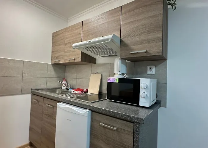 Elite Apartment Staré Splavy